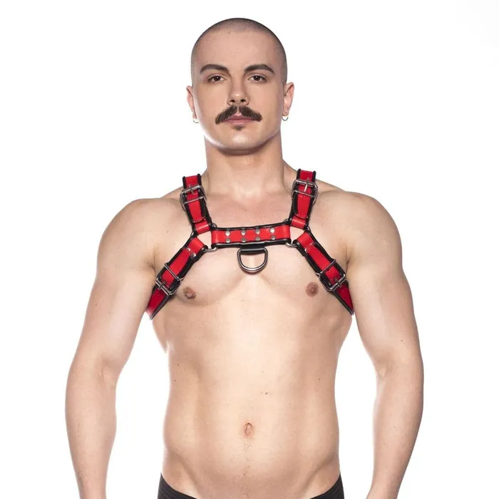 Anal Prowler Red Prowler RED Bull Harness BlackRed Large