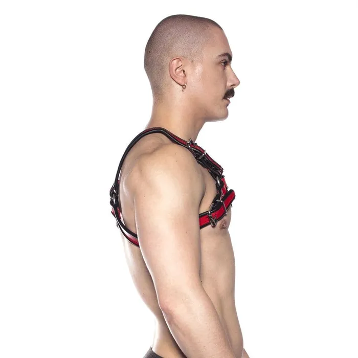 Anal Prowler Red Prowler RED Bull Harness BlackRed Large
