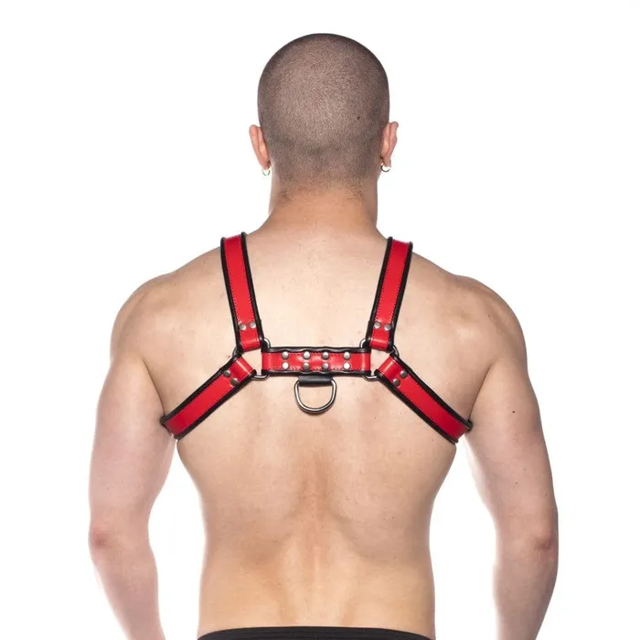 Anal Prowler Red Prowler RED Bull Harness BlackRed Large